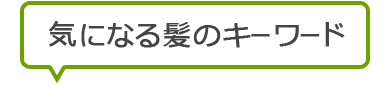 気になる髪のキーワード